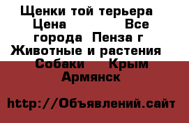 Щенки той терьера › Цена ­ 10 000 - Все города, Пенза г. Животные и растения » Собаки   . Крым,Армянск